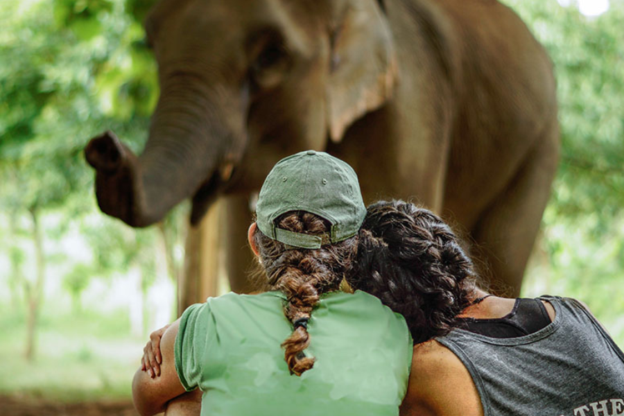 Elephant Conservation Center