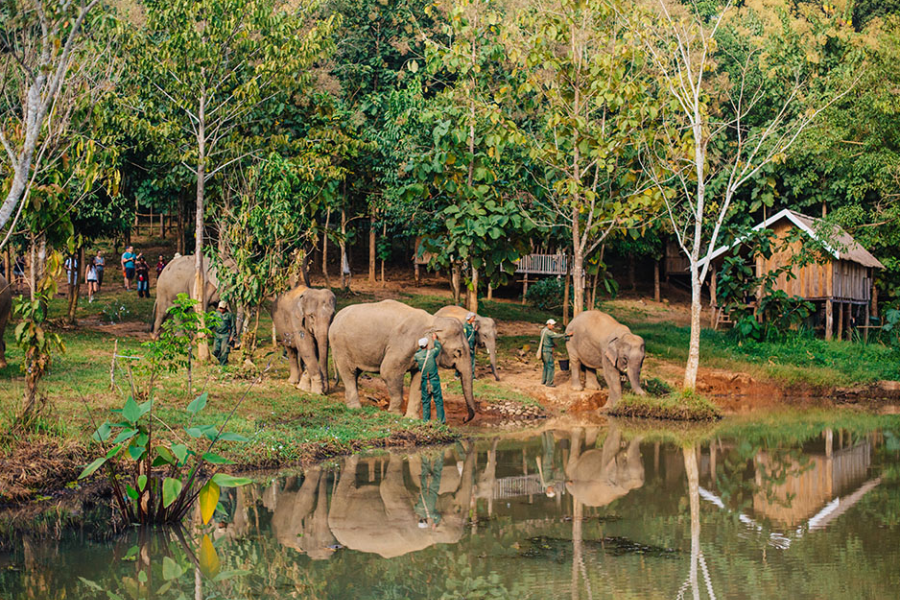 Elephant Conservation Center