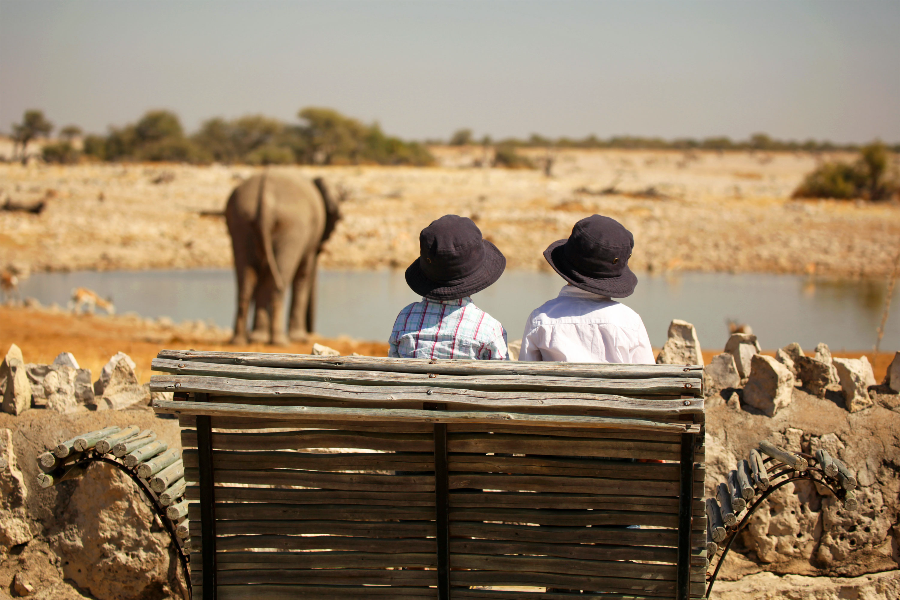 | Parc Etosha Namibie - ©Ekima Afrika Travel