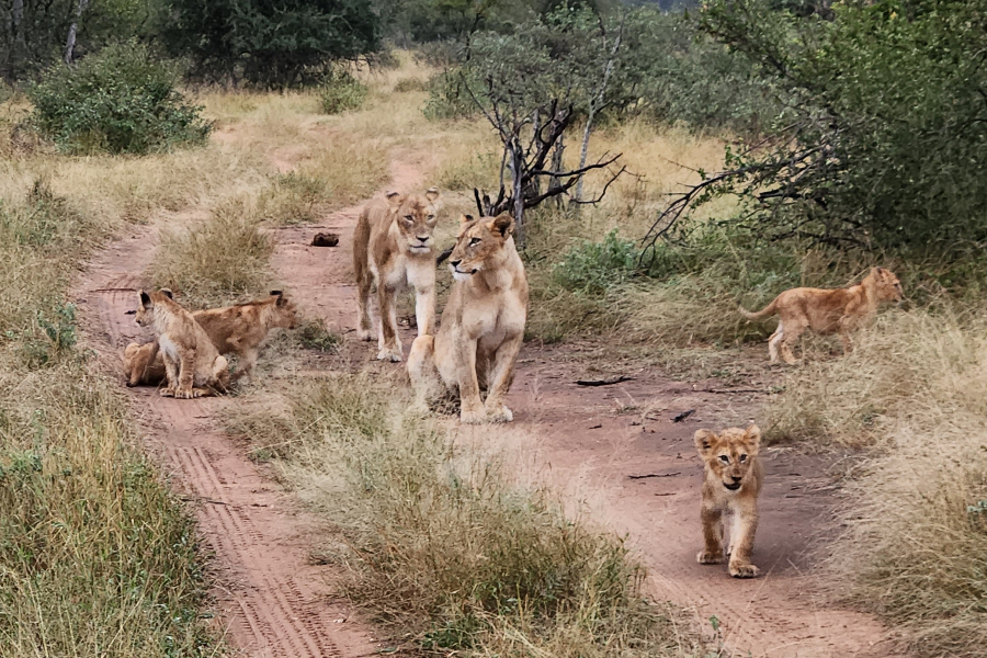 EKIMA AFRIKA TRAVEL