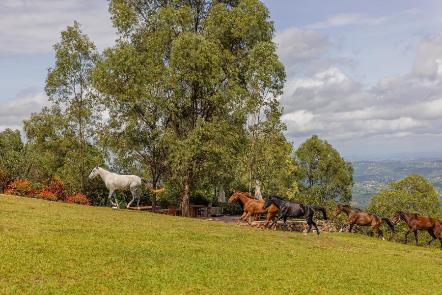 FAZENDA SENGHA