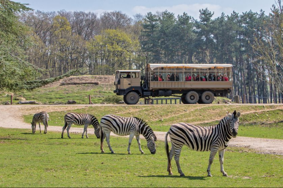 WOW SAFARI THOIRY