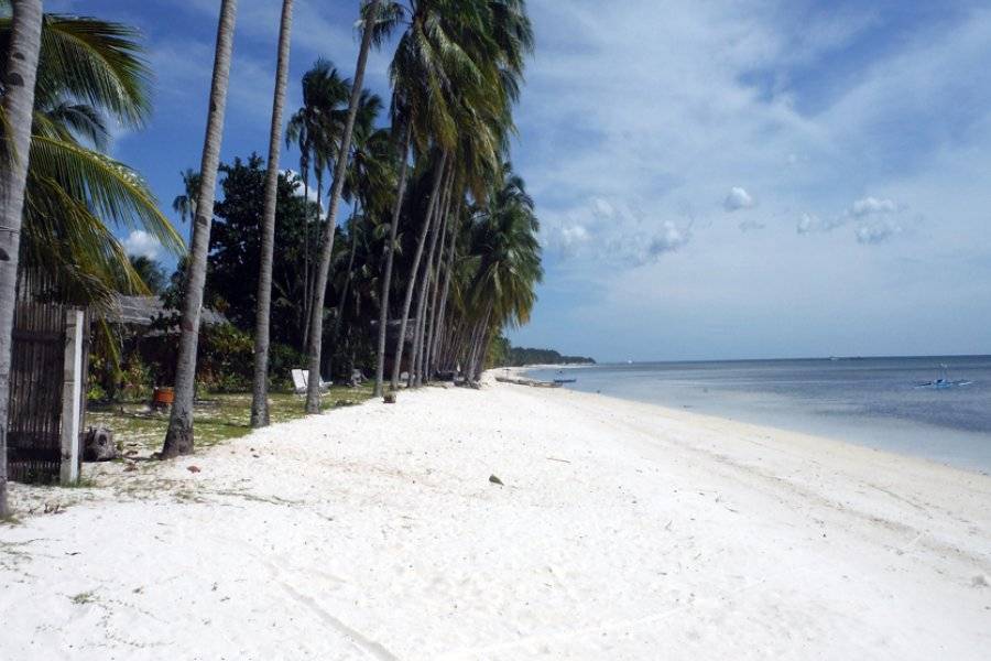 PHILIPPINES AUTREMENT Tour-opérateur spécialisé Cebu photo n° 379627
