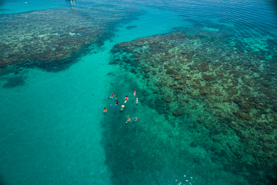 Ocean Freedom