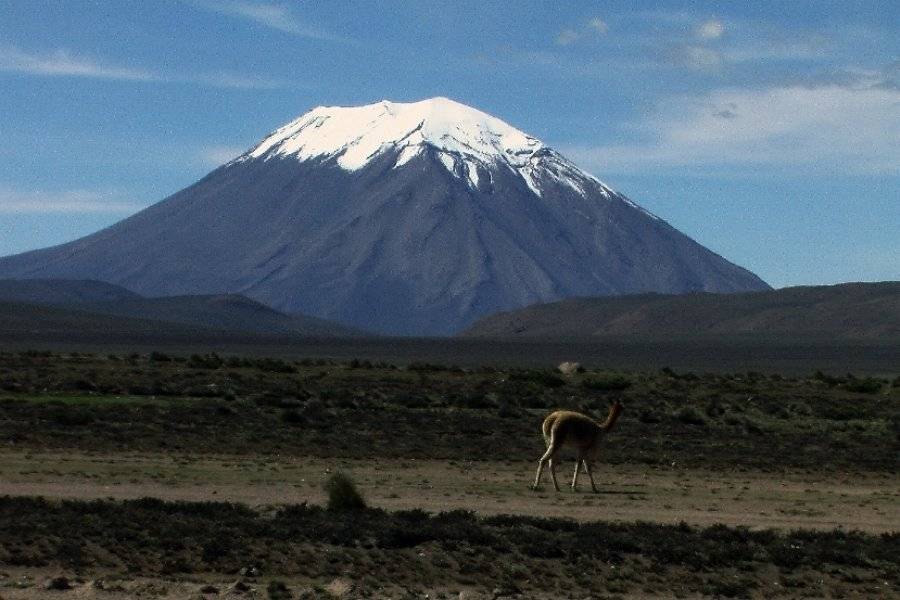 Volcán Misti - ©CARLOS ZARATE AVENTURAS
