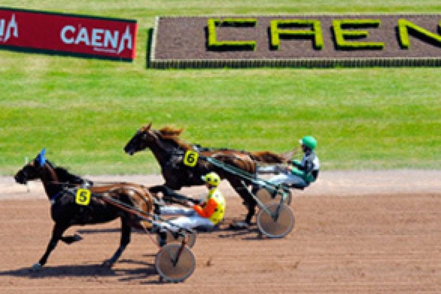 HIPPODROME DE LA PRAIRIE Courses hippiques Caen photo n° 184055 - ©HIPPODROME DE LA PRAIRIE