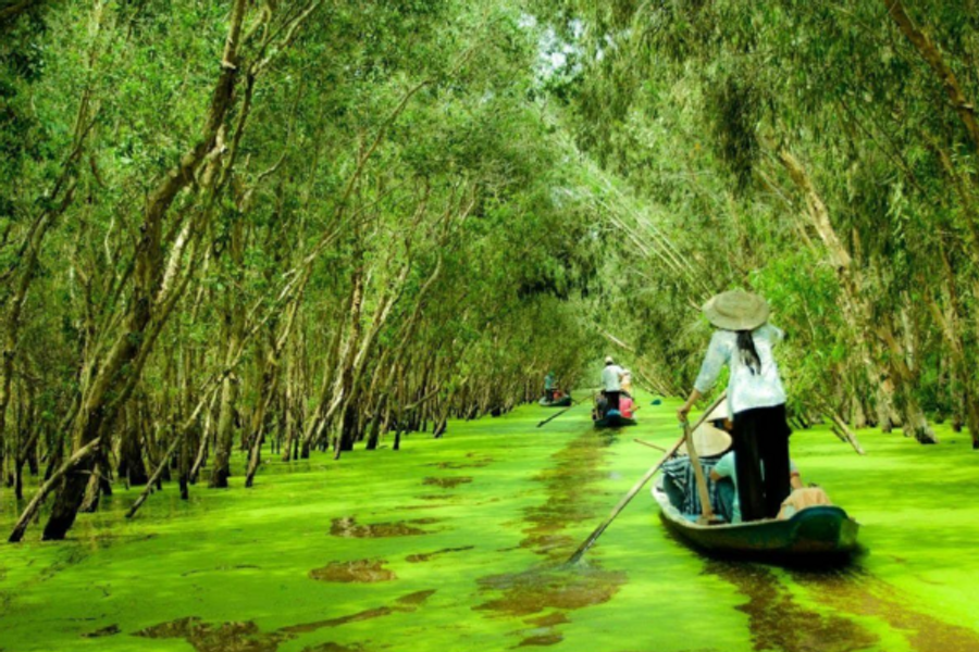 Delta du Mekong - ©Internet