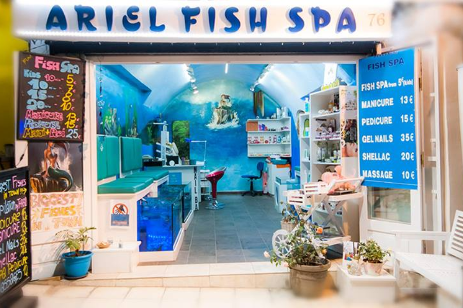  - ©ARIEL FISH SPA