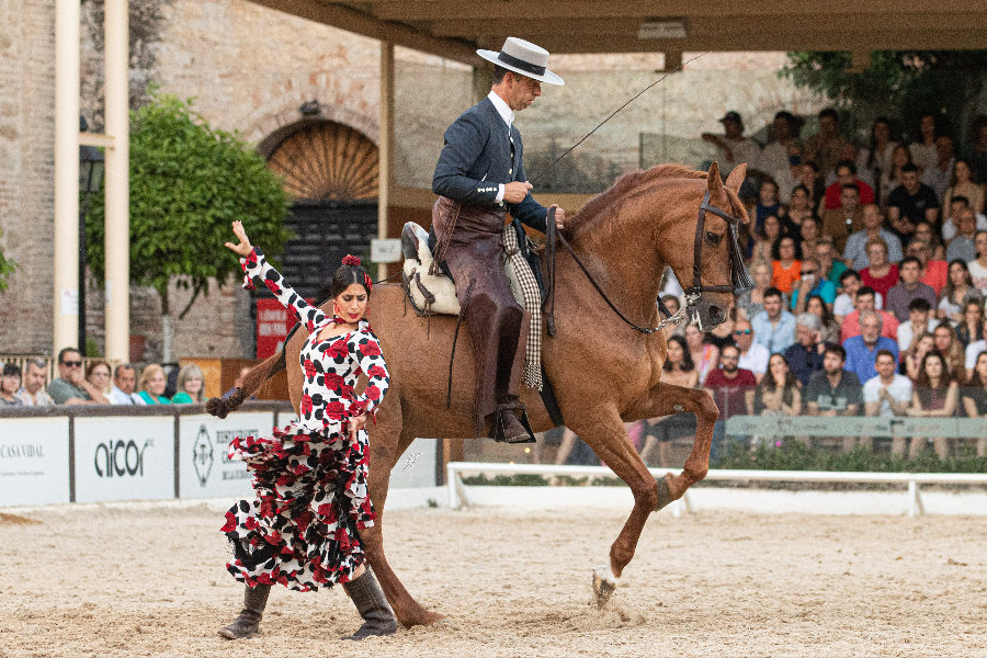 Dancer and rider