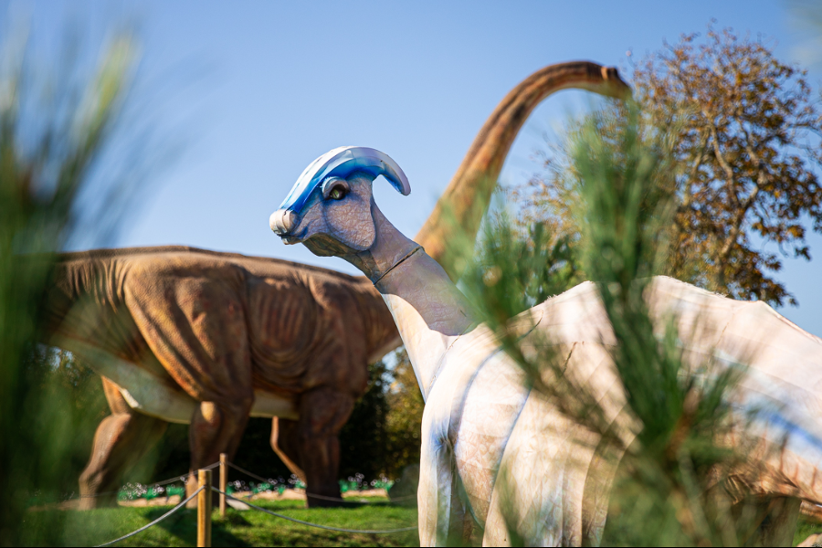 Dino grandeur nature
