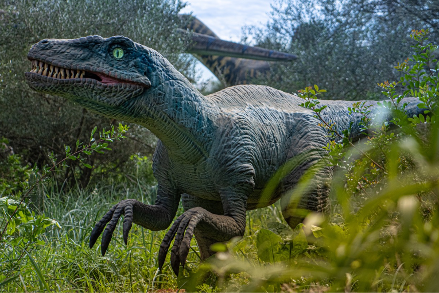 Velociraptor - ©Cuevas Dels Hams