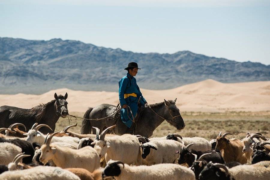 Nomadic Herder, Khongoryn Els, Gobi Desert, Mongolia - ©Goyo Travel