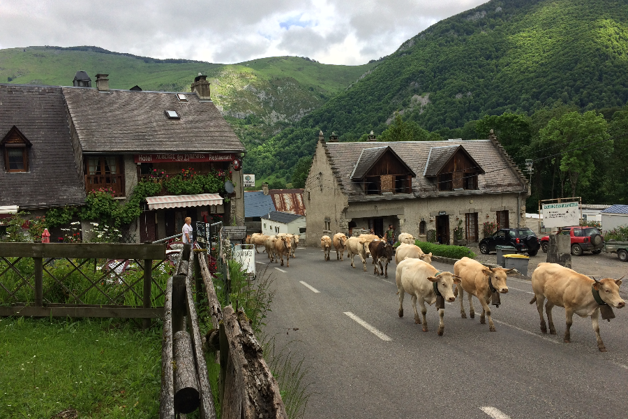 Auberge des Pyrénées - ©Auberge des Pyrénées