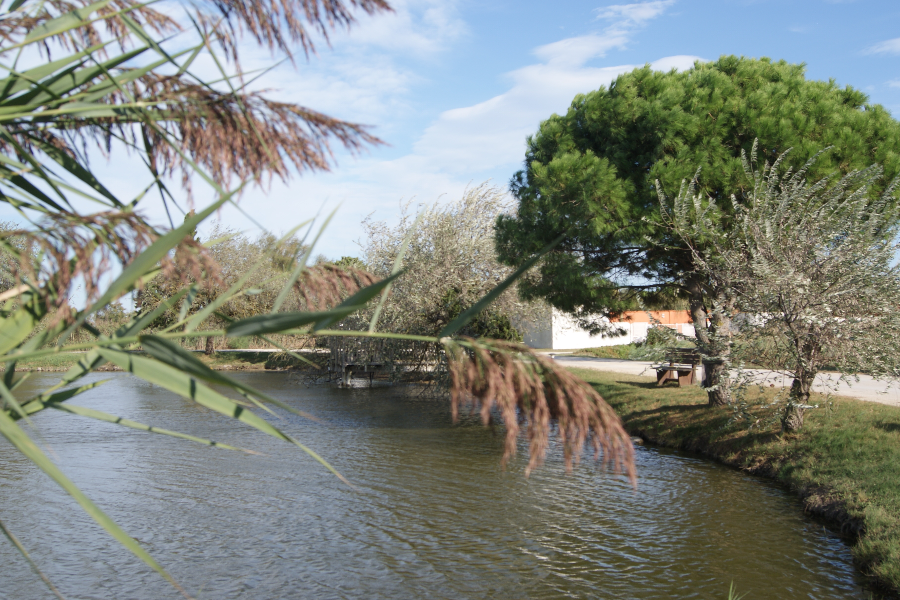 ETANG