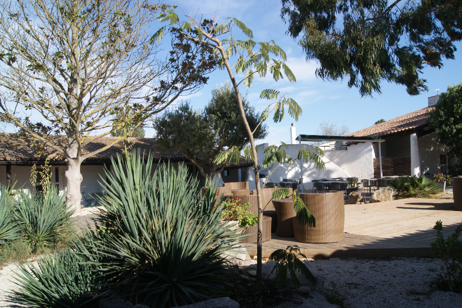 TERRASSE 2
