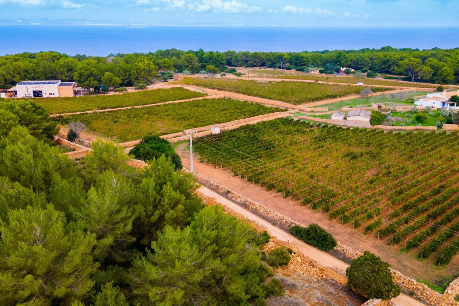 POINT D'INFORMATION TOURISTIQUE SANT FRANCESC