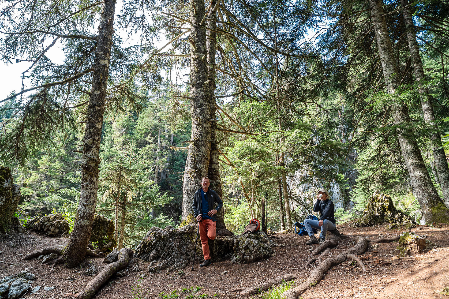 Parc National du Mont Parnasse - ©TREKKING HELLAS PARNASSOS