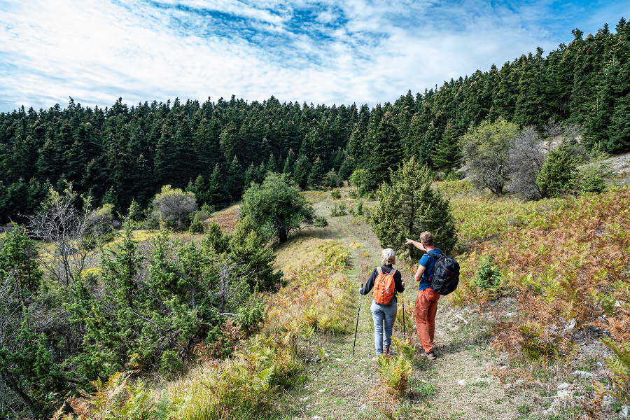 Parc National du Mont Parnasse - ©TREKKING HELLAS PARNASSOS