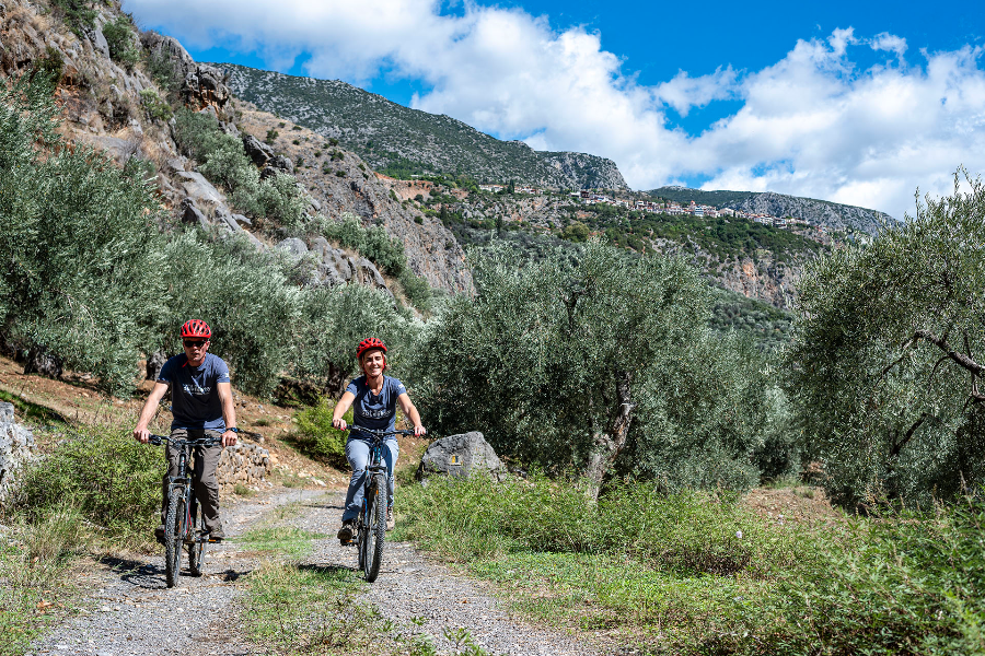 Sentier de Delphes - oliveraie - ©TREKKING HELLAS PARNASSOS