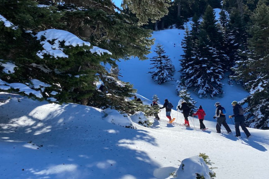 Alpine Zone Parnassos - ©Trekking Hellas Parnassos