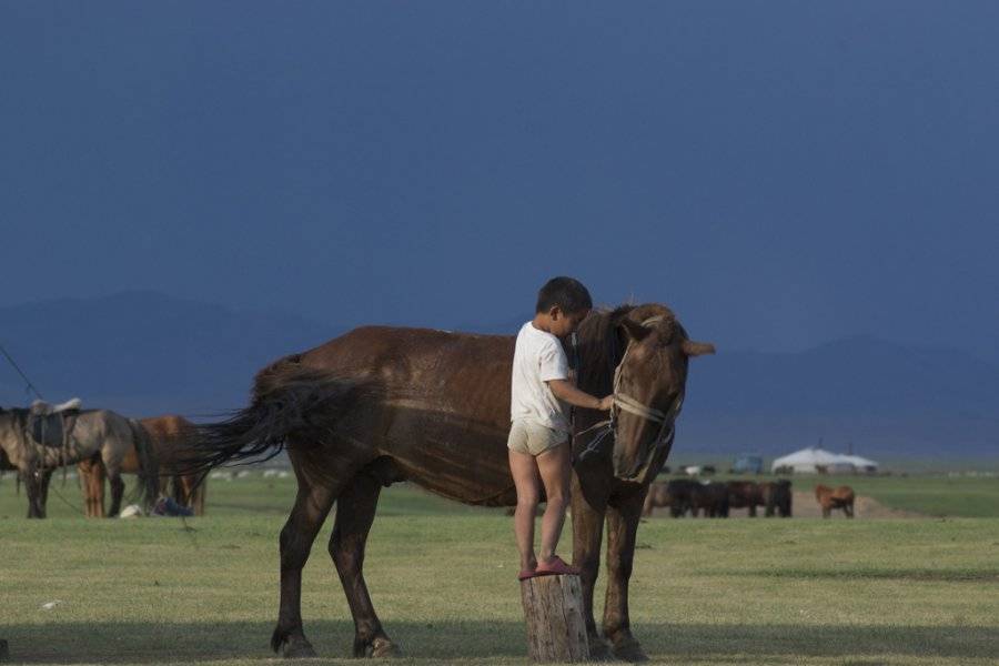 Enfant et Cheval - ©Horseback Mongolia