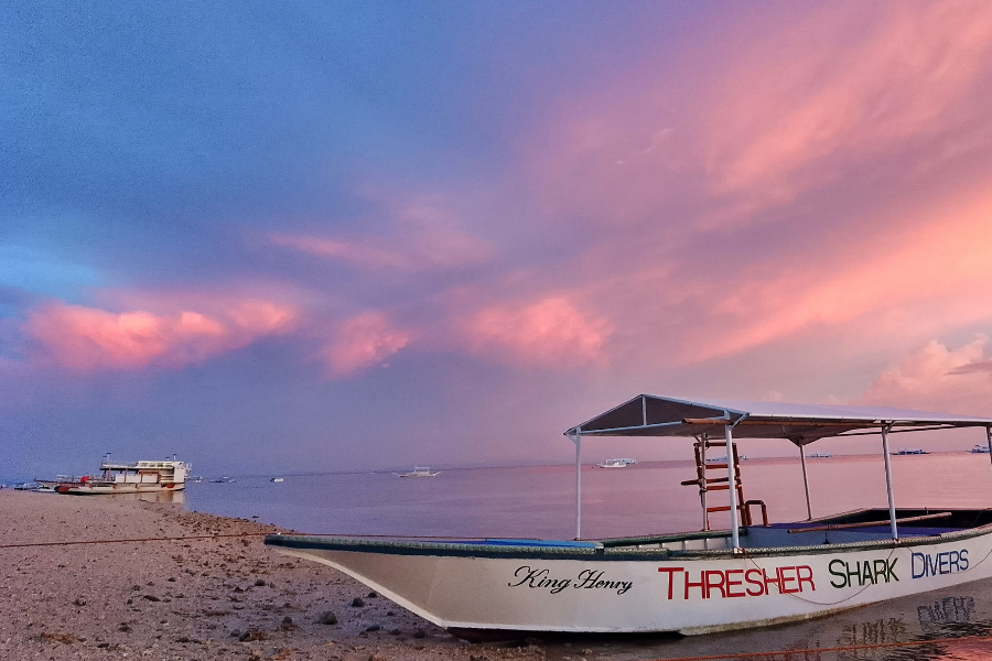 THRESHER SHARK DIVERS - ©THRESHER SHARK DIVERS