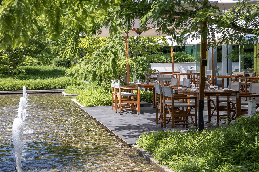 Terrasse Restaurant Woods