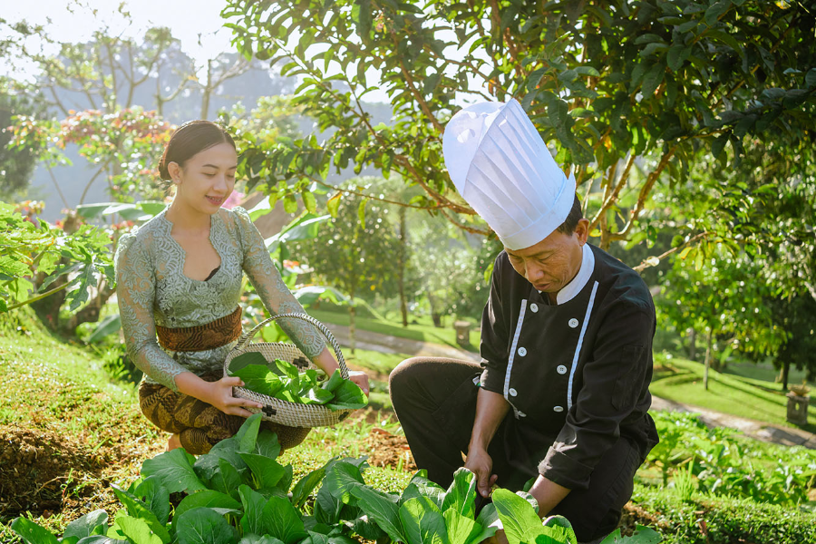 BAGUS JATI HEALTH & WELLBEING RETREAT