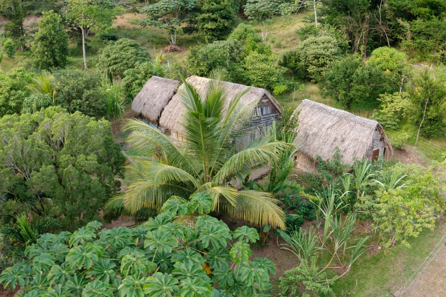 jardins tropicaux - ©La savane des esclaves