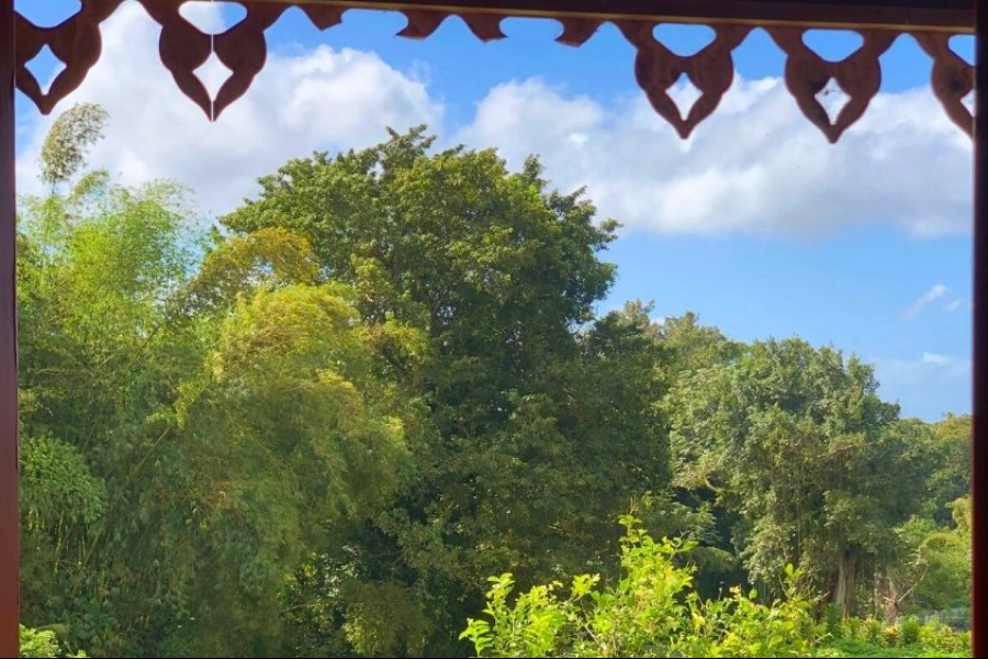 Vue de la fenêtre de la chambre - ©Domaine de la Vallée