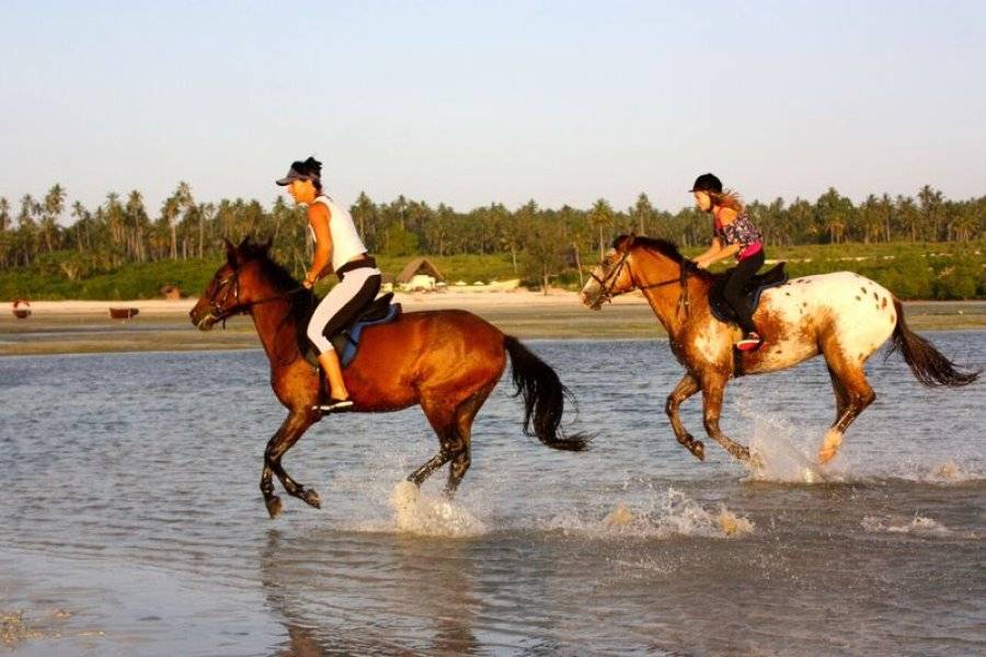 Horse Riding - ©SEA CLIFF RESORT & SPA