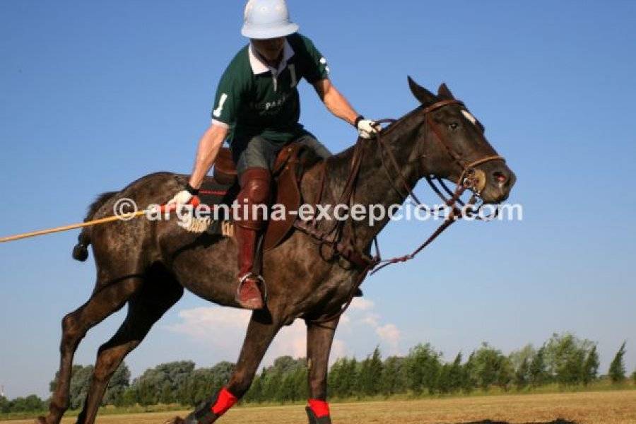 ARGENTINA EXCEPCIÓN Agence de voyage - Tours opérateurs Buenos Aires photo n° 99591 - ©ARGENTINA EXCEPCIÓN