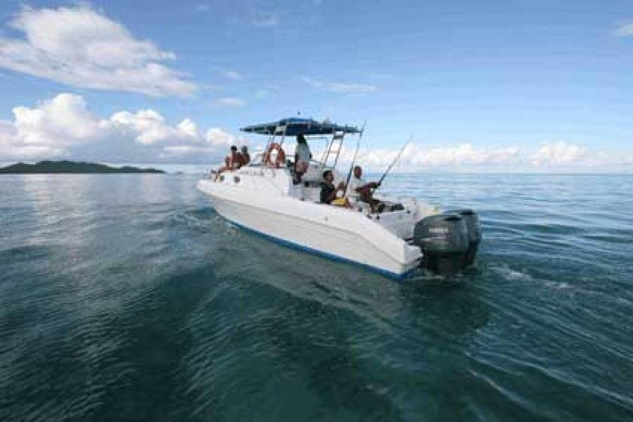BARRACUDA BOAT CHARTER Fishing Côte D'Or photo n° 20867 - ©BARRACUDA BOAT CHARTER
