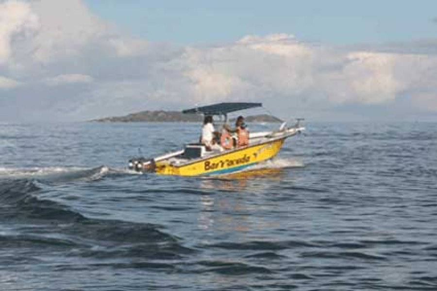 BARRACUDA BOAT CHARTER 钓鱼 金色海岸 photo n° 20868 - ©BARRACUDA BOAT CHARTER