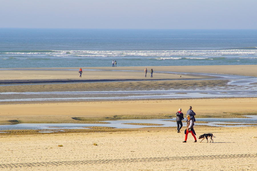 OFFICE DE TOURISME DU TOUQUET-PARIS-PLAGE