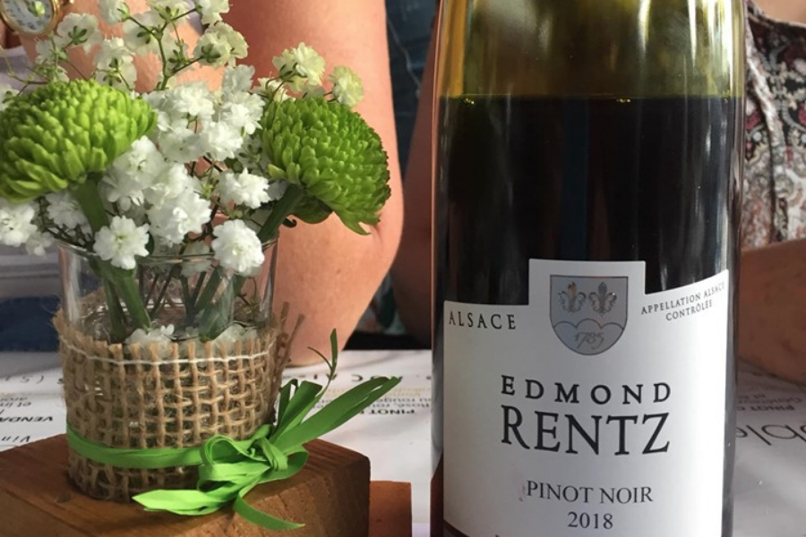 Vins D'Alsace Domaine Edmond Rentz - ©Domaine Edmond Rentz