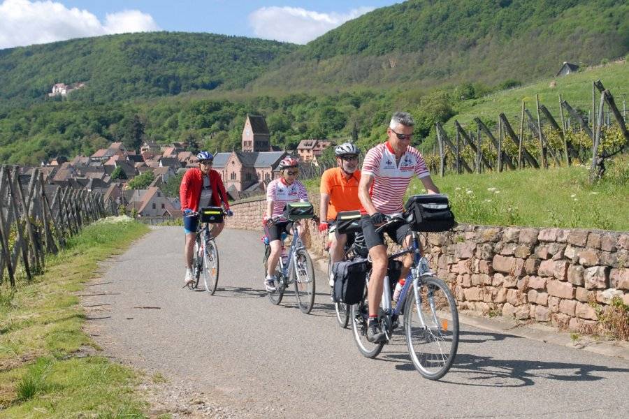 Oenotourisme - ©CATTIN GRANDS VINS ET CRÉMANTS D'ALSACE