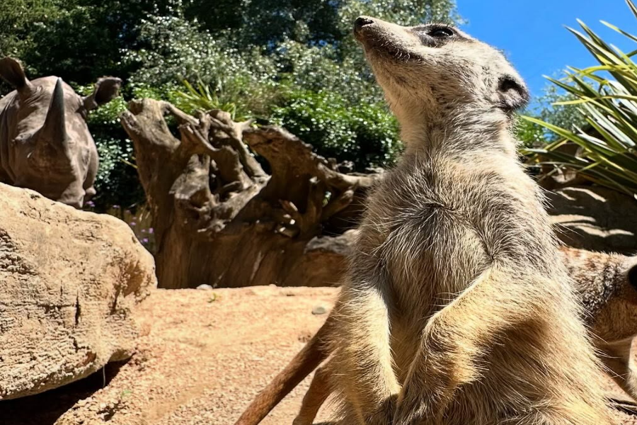 PARC ANIMALIER DES PYRENÉES