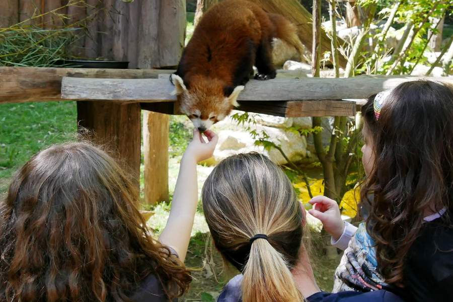 PARC ANIMALIER DES PYRENÉES