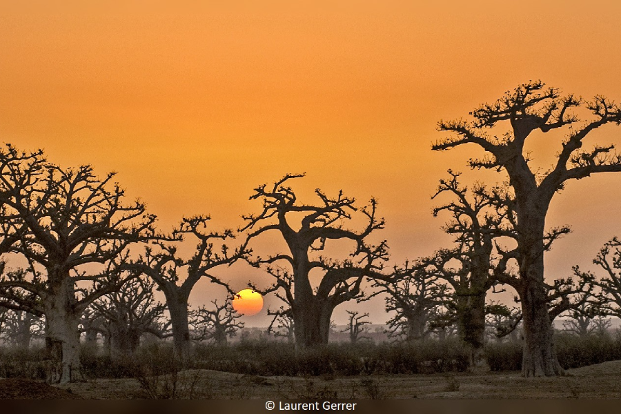 sahel decouverte
