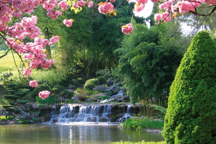 Cascade - Parc floral d'Apremont