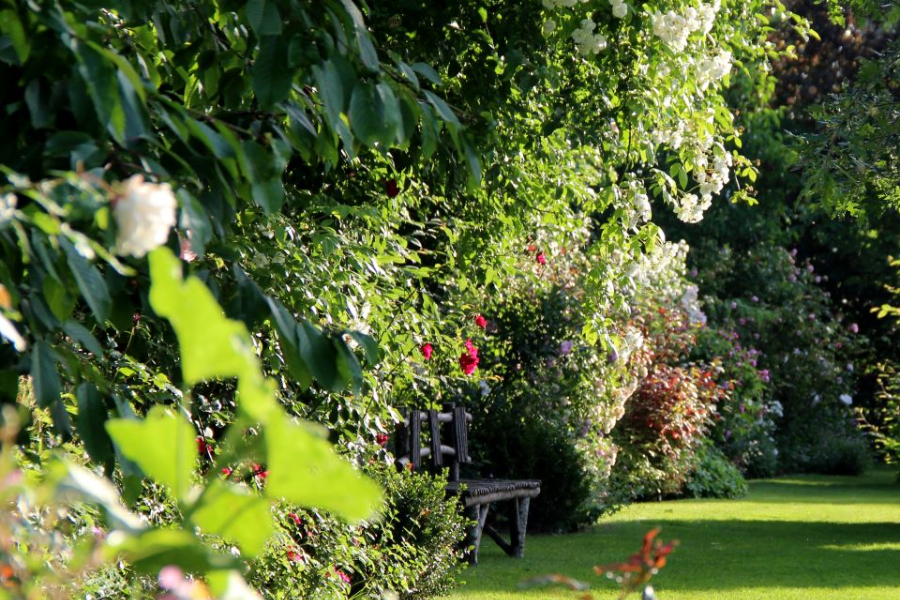 Jardins de Roquelin - ©© Armandine Rue