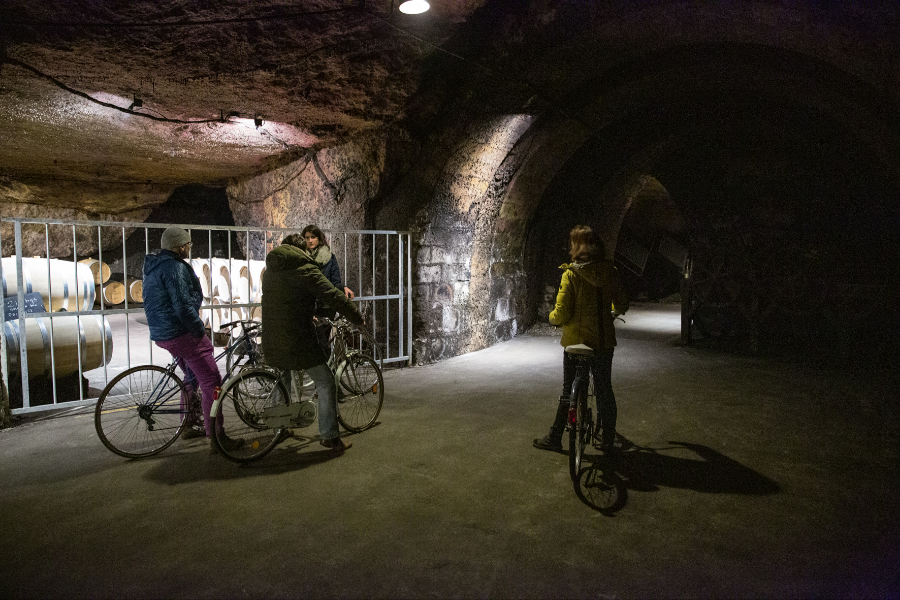 Les Caves à vélo